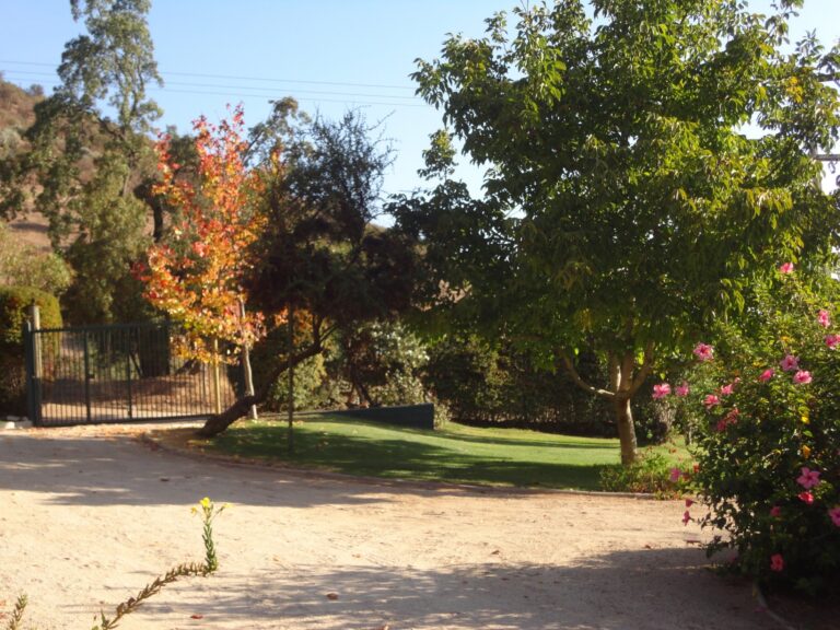 Terreno de la parcela. Venta parcela Curacaví Chile.