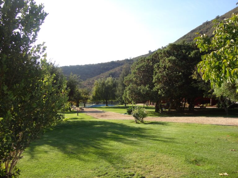 Terreno de la parcela. Venta parcela Curacaví Chile.