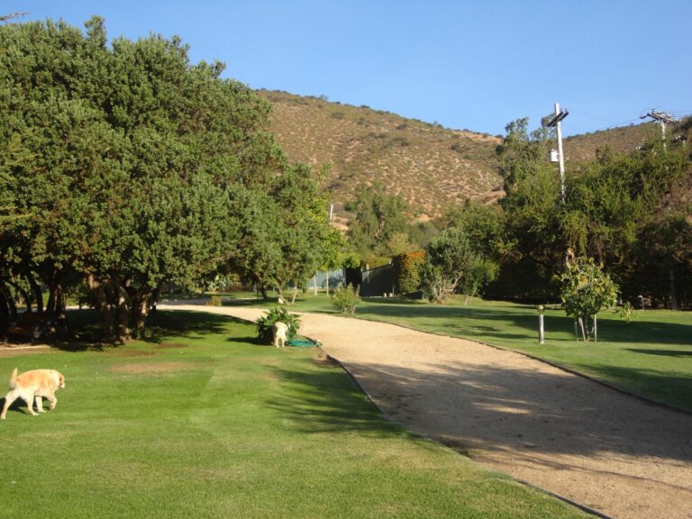 Terreno de la parcela. Venta parcela Curacaví Chile.